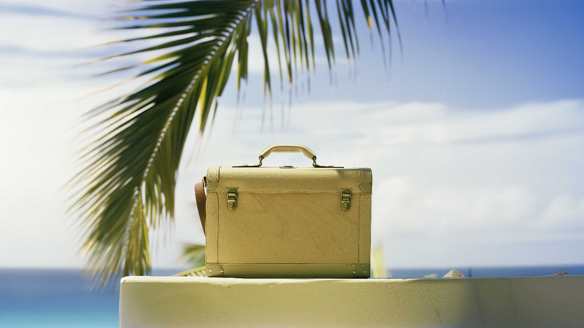 Natural tan leather luggage bag from VacationGrabs